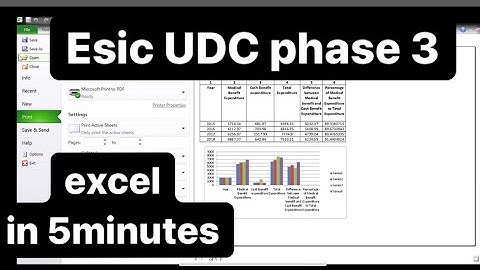 ESIC UDC excel sheet practice | Esic udc cst practice | Esic sso cst practice | ESIC UDC Phase 3