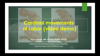 Cardinal Movements of Labor video demo