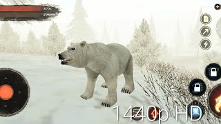 The Bear || Cold :)