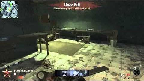 CoD Black Ops | Quick MP5k S&D Ace