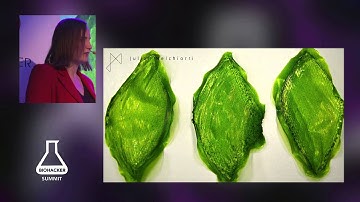 Biohacker Summit – Nell Watson: Nanomachines and Internal Computing