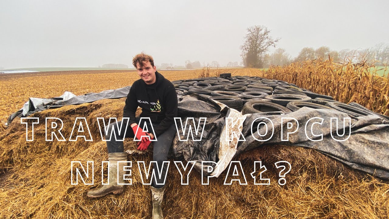 Dzień z życia rolnika #43 - Wady i zalety trawy w kopcu, moje spostrzeżenia- czy za rok to powtórzę?