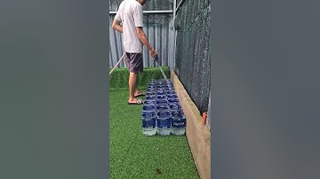 Chuẩn Bị Nước Nuôi Betta #Skyguppy #Zeroshock