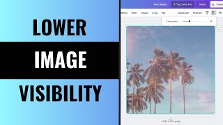 How To Make Image Transparent In Canva