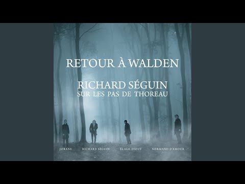 Intro écriture Video