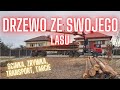 JAK WYGLĄDA ŚCINKA DRZEWA W SWOIM LESIE 🚜 | DREWNO NA BUDOWĘ 🌲 | KOSZT 💲 | BUDUJEMY DOM 🏠