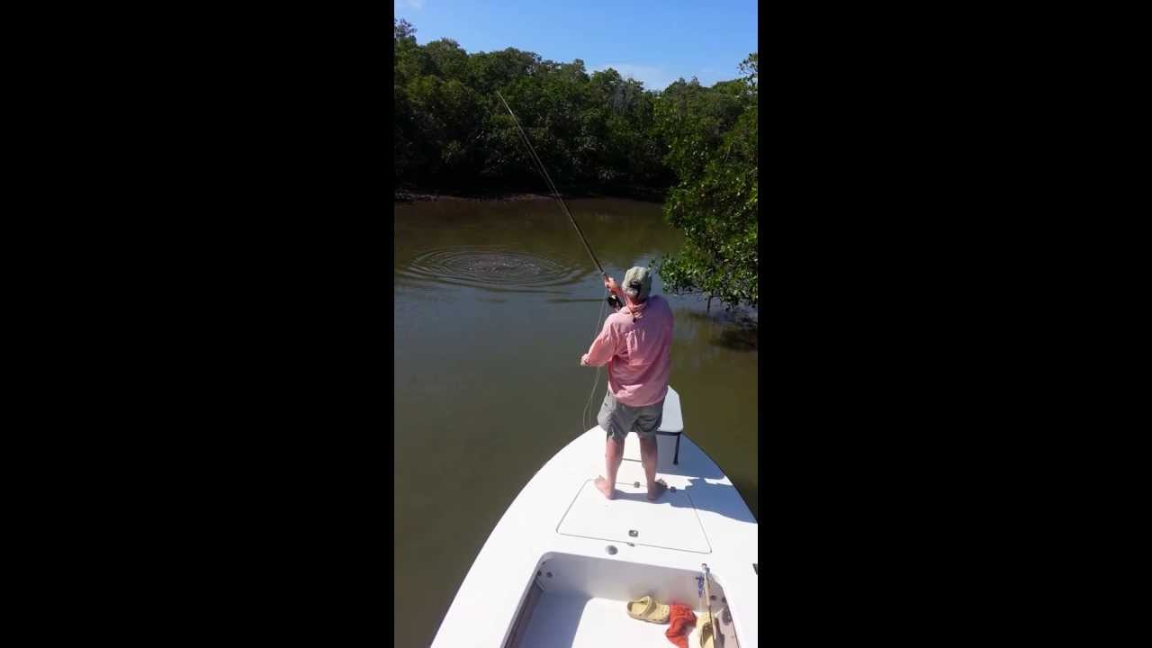 April Everglades Snook Fly Fishing Report from Goodland Florida YouTube