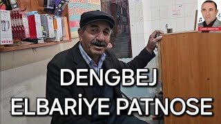 Dengbej Elbariye Patnose SEYRE Resimi