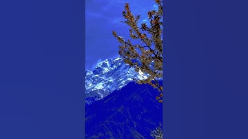 من سورة يونس || القارئ عبد الرحمن مسعد🤍 #عبدالرحمن_مسعد  #لايك #اكسبلور #explore #آية #راحة_نفسية