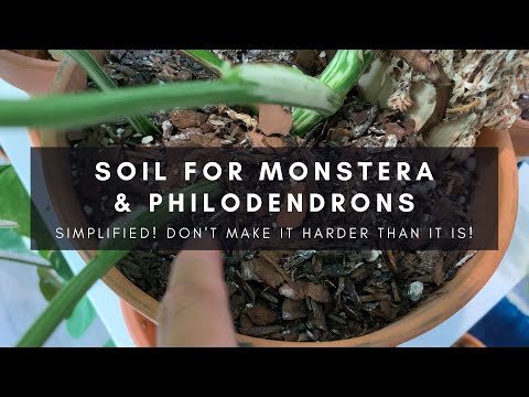 Soil Mixes For Monstera & Most Aroids | Monstera Indoor Houseplant Soil Tour & Care | Ep 21