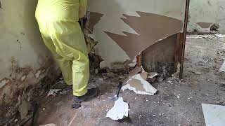 Drywall Removal