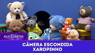 Download Lagu Xaropinho | Hidden Cameras (February 22, 2026) MP3