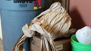 Antioch Fuego y Hielo and packing paper by caseyblues 30 views 5 years ago 4 minutes, 2 seconds