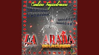 Entrega De Amor