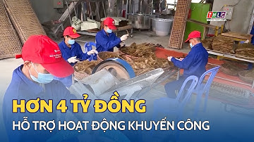 Hơn 4 tỷ đồng hỗ trợ hoạt động khuyến công | THLC