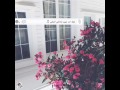 مدرسه الحب