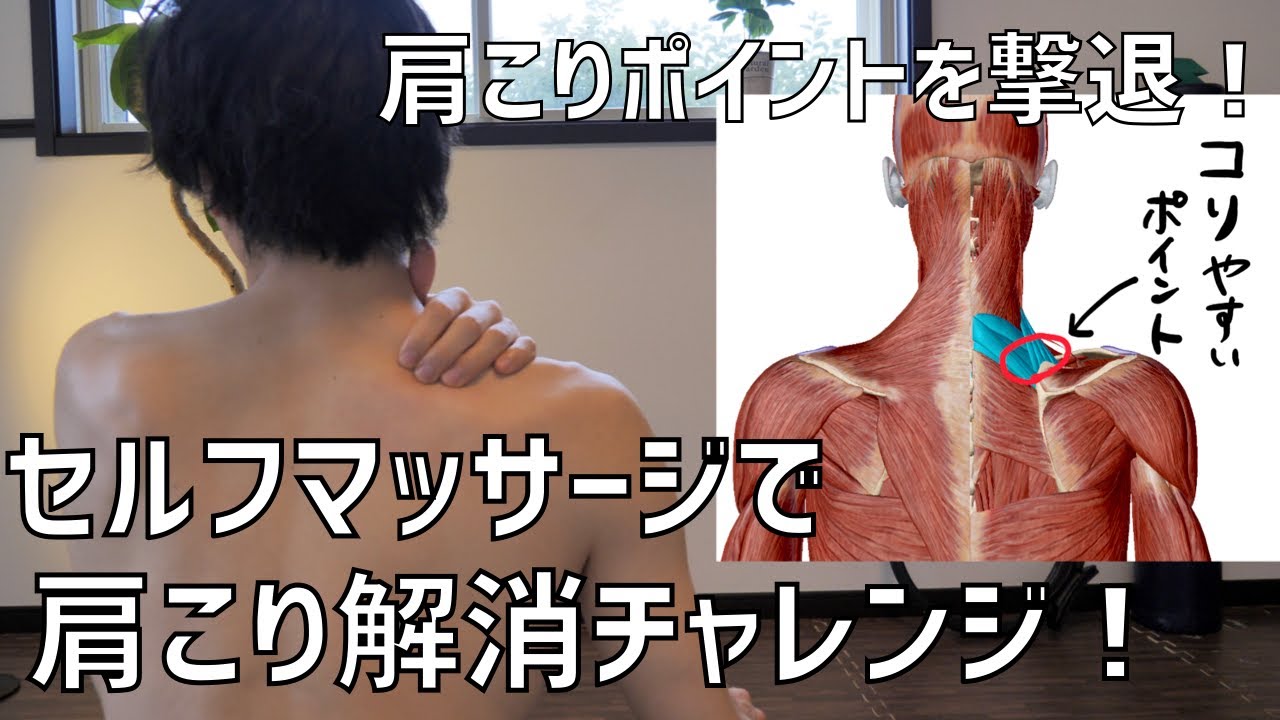 肩こり解消セルフマッサージ（一人で肩こりポイントを解消する