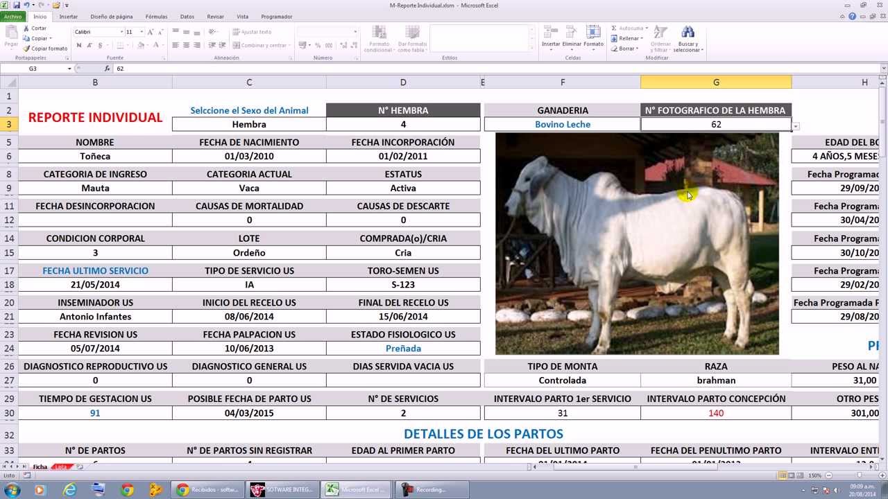Software Integral Ganadero VI (bovinos y búfalos) - YouTube