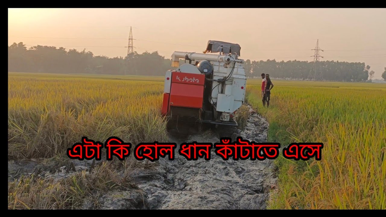 এটা কি হলো ধান কাঁটাতে গিয়ে জমিতে  | Live Video | Makrampur Music Junction 