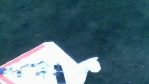 RC Foam WIng with Elevating Motor Mount