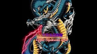 Lagu acara 😱Kompi Dragon -Cepat bijaksana setia #HipHopRAJAAMPAT#