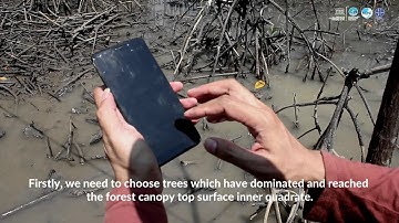 Day 04 | MHI Training | 8 | Estimating Forest Height