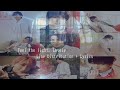 Snow Man [Feel the light, Lovely]Line Distribution + Lyrics 【リクエスト】