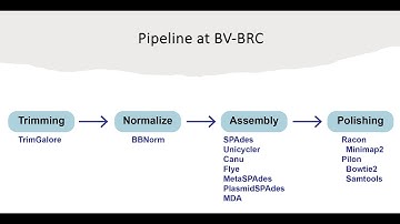 Introduction to the Assembly service