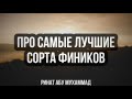 578. Про самые лучшие сорта фиников || Ринат Абу Мухаммад