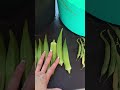 Today's Harvest #shortvideo