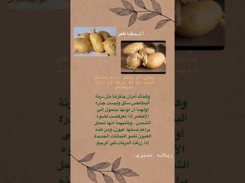 امثلة لانواع التكاثر اللاجنسي و الجنسي
