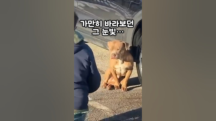 낯선 손에 코를 갖다댄 순간, 모든게 달라졌습니다