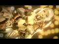[MMD] TDA MIKU - PHONE NUMBER [UW1080p60fps]