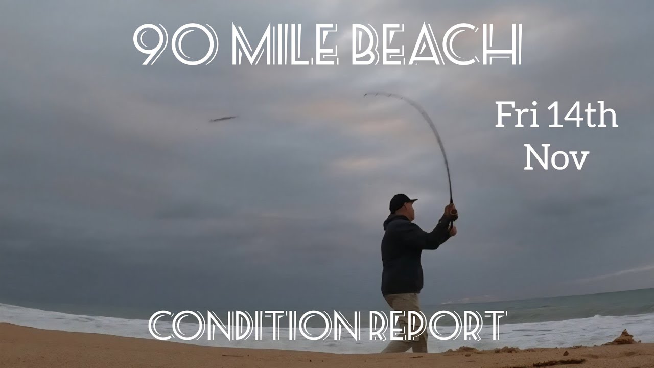 Отчёт о состоянии пляжа 90 Mile Beach. Пятница, 14 ноября.