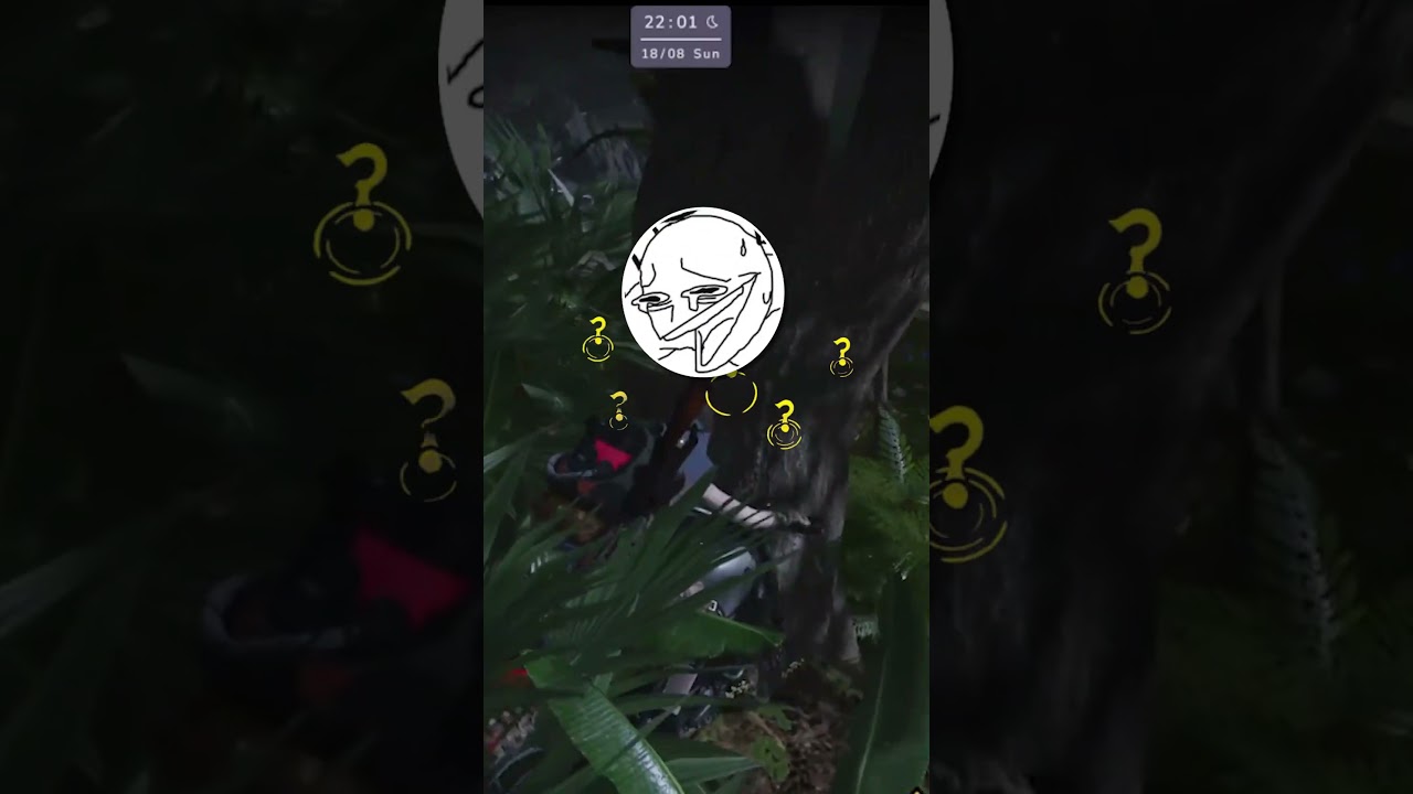 Sol's amazing driving skills