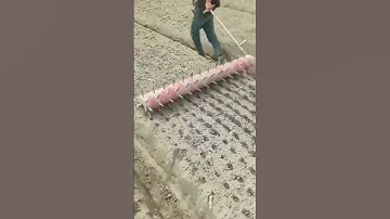 Essential Step Before Planting Garlic: Master the Correct Method for Better Growth