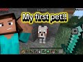 My first pet!!! in Minecraft survival series!