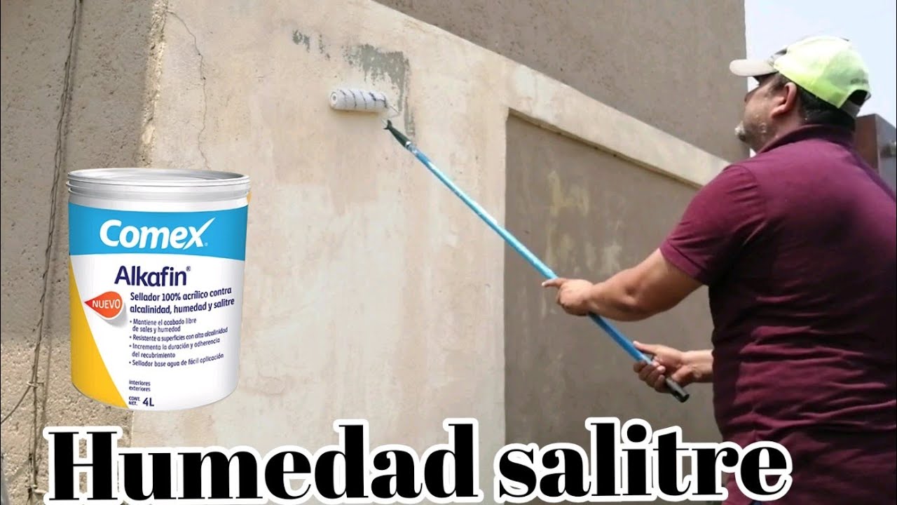 Eliminando humedad salitre hongo de las paredes con sellador ALKAFIN de  comex - YouTube