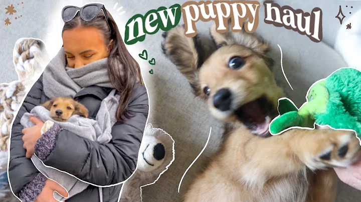 puppy haul // everything i got my new puppy! *essentials checklist*