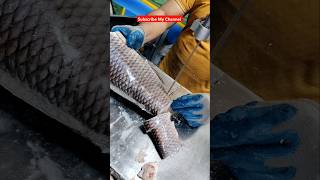 Australia Frozen How To Make Salmon Fish Cutting Machine Skills#shorts#fish #viralvideos