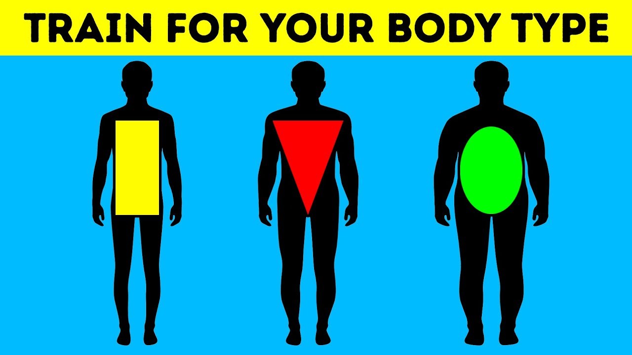 Your Body Type