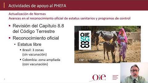 Cosalfa 48 - Informe sobre actividades regionales (OIE)