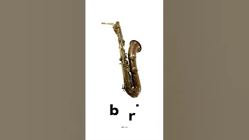 TYPES of Saxophones! (smallest to LARGEST)