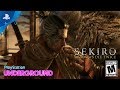 Sekiro: Shadows Die Twice release date, trailers and news