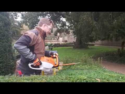 Testing the Stihl HSA 86 battery hedgecutter.