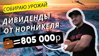 Дивиденды Норникеля Реинвестирую В Сбер Пока Он Упал.