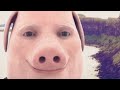 John pork  short horror film