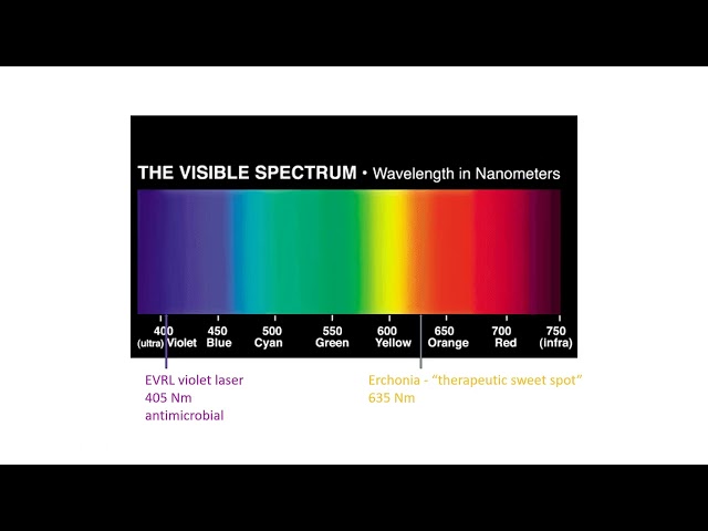 The Ultimate FX405 Laser Webinar  | Erchonia® Lasers