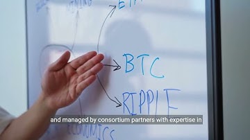 Embrace Blockchain Technology with CHAISE