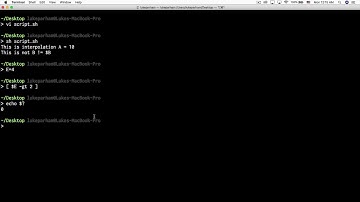 2 07  Bash Scripting   Tests and Ifs